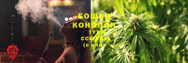 дмт Гусев