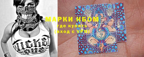 дмт Гусев