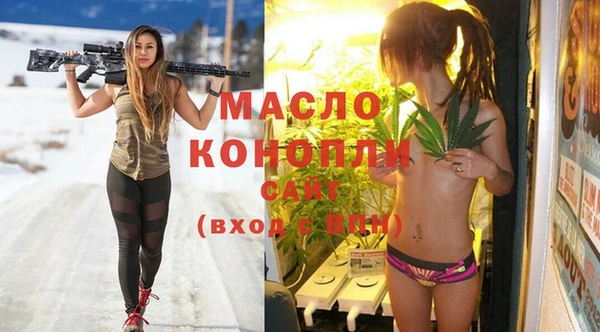дмт Гусев