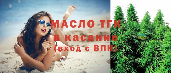 дмт Гусев