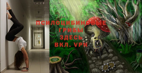 твердый Гусиноозёрск