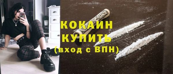 дмт Гусев