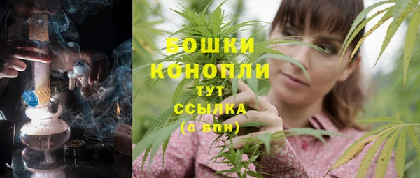 бутират Гусь-Хрустальный